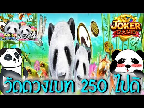 wild giant panda slot demo